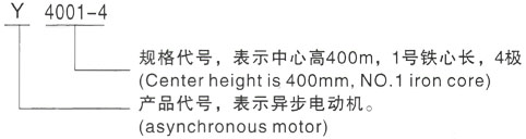 西安泰富西玛Y系列(H355-1000)高压YKS5002-4三相异步电机型号说明