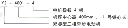 YR系列(H355-1000)高压YKS5002-4三相异步电机西安西玛电机型号说明